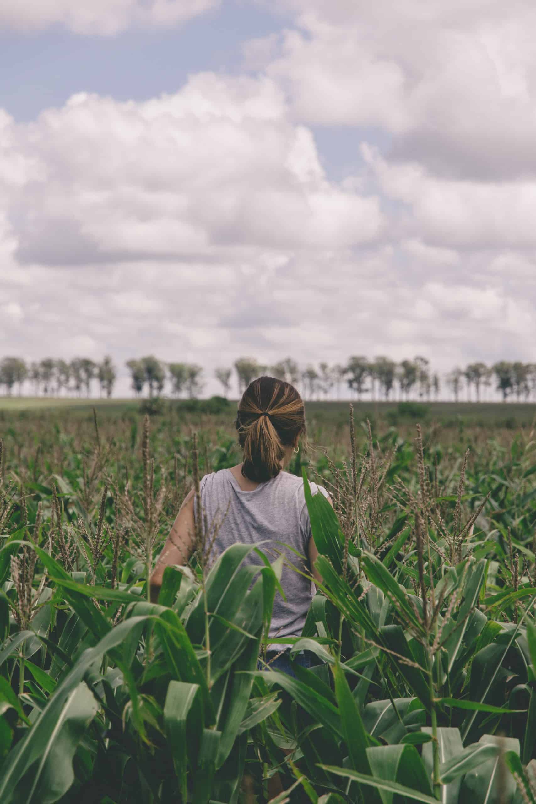 Ets Lorgnier | VENTE ET REPARATION DE MATÉRIELS AGRICOLES